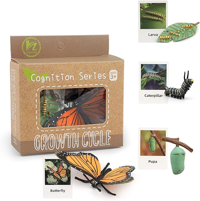 Montessori Life Cycle Animal Figures with Flash Cards, Plastic Insects Monarch Butterfly Kit Caterpillar Toy for Kids, Realistic Animal Figurines (Butterfly)