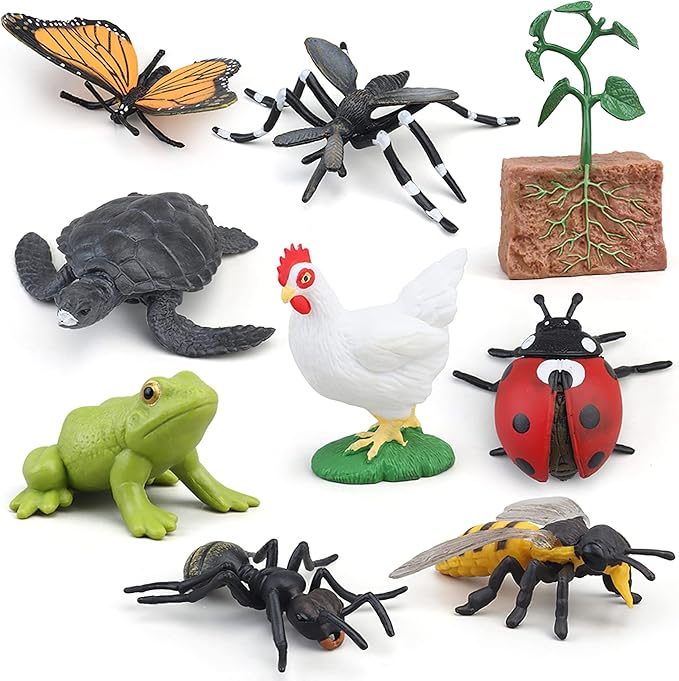 Montessori Frog Life Cycle with Flash Cards, Plastic Insects Tadpole to Frog Kit Toy, Realistic Animal Figurines (Frog)