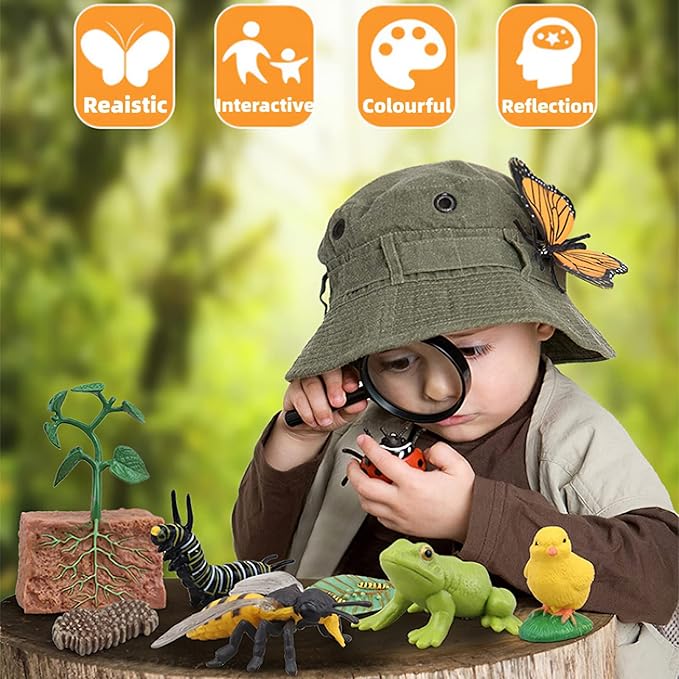 Montessori Life Cycle Animal Figures With Flash Cards, Realistic Figurines Toy, Match Set With Butterfly Frog Ladybug, Educational Game for 3+ Year Old Toddlers Kids