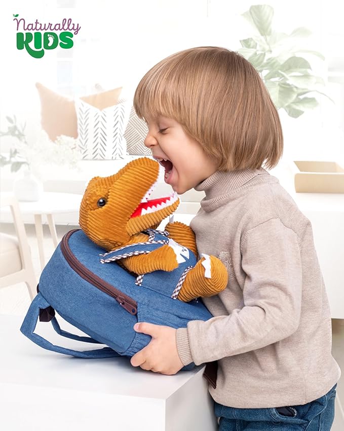 Dinosaur Backpack for Kids 3-5, Toddler Backpack for Boys with Detachable Dinosaur Toy with Pockets and Reflective Logo Patch