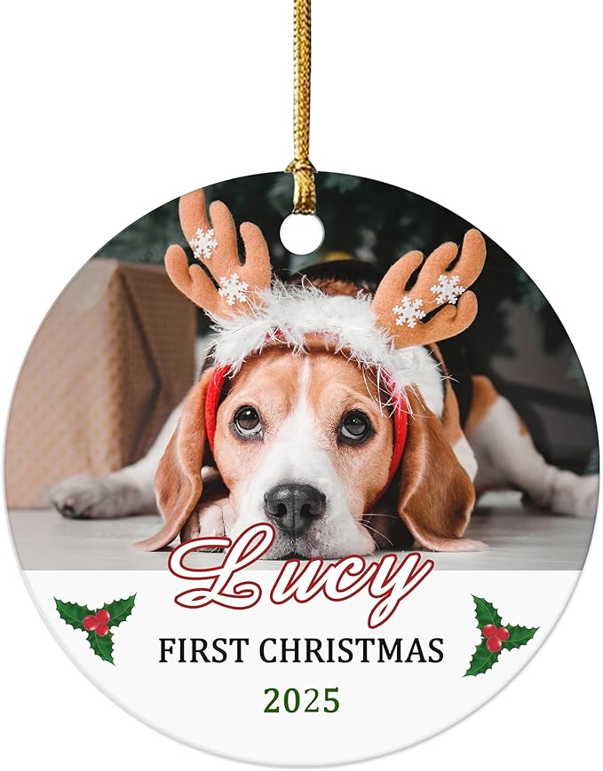 Personalized Pet Dog First, Customized 2025 Pet Ornaments for Christmas Tree, Puppy 1st Annual Xmas Holiday Keepsake Gift, Dog Lovers Gifts for Christmas Tree Decoration
