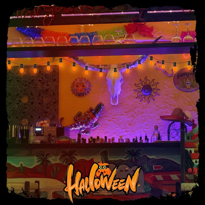GOOTHY C7 LED Outdoor Halloween Lights 25Ft Orange Halloween Decoration String Lights with 27 Shatterproof Orange LED Bulbs, Hanging Outdoor Patio Lights for Christmas Party Patio Wedding Holiday