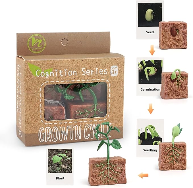 Montessori Life Cycle Animal Figures with Flash Cards, Realistic Animal Figurines Toy, Animal Educational Matching Game for 3+ year old Toddlers Kids (Plant)