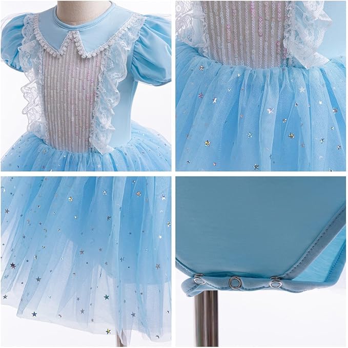 DYMCII Baby Girls Princess Ballet Dress Short Sleeve Leotards Skirted Tutu Dancewear Halloween Christmas Party Fancy Costume