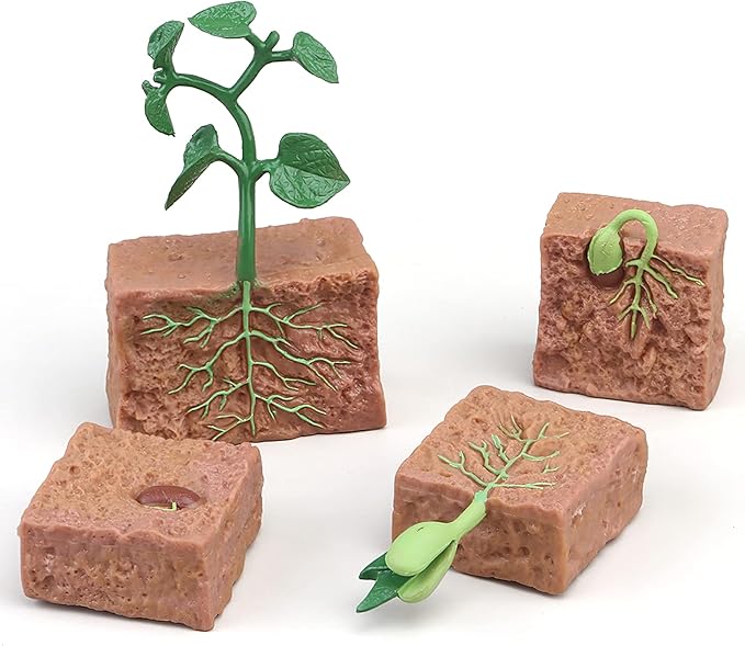 Montessori Life Cycle Animal Figures with Flash Cards, Realistic Animal Figurines Toy, Animal Educational Matching Game for 3+ year old Toddlers Kids (Plant)