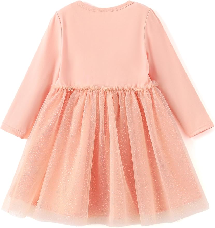 Disney Frozen Elsa Princess Cinderella Ariel Jasmine Rapunzel Baby/Toddler Dress, Ruffle Long-Sleeve Mesh Overlay Tulle Dress