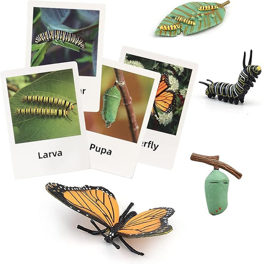 Montessori Life Cycle Animal Figures with Flash Cards, Plastic Insects Monarch Butterfly Kit Caterpillar Toy for Kids, Realistic Animal Figurines (Butterfly)