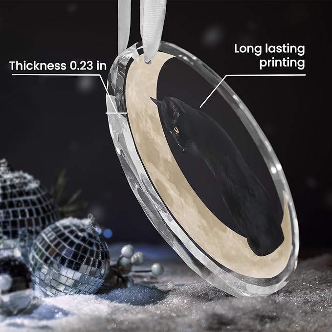 OASSIE Christmas Black Cat Gifts for Women Men - Glass Christmas Ornaments 2025 for Tree Decorations - Funny Cat Lover Gifts for Women Animal Lovers, Funny Ornaments for Xmas Decorations