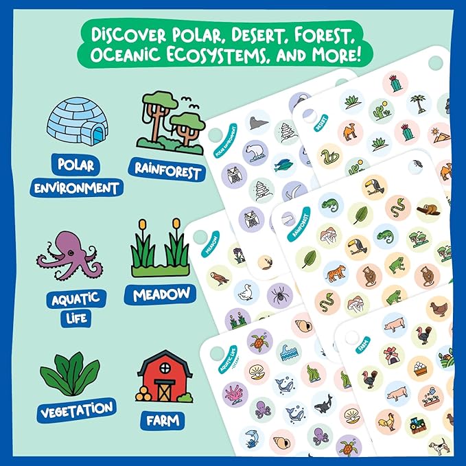 Nene Toys Nature Adventures Extension Cards - Extension Set Exclusive Size Ladybug's Memory Game - 24 Patterns Featuring Diverse Ecosystems and Wildlife Exclusive Size