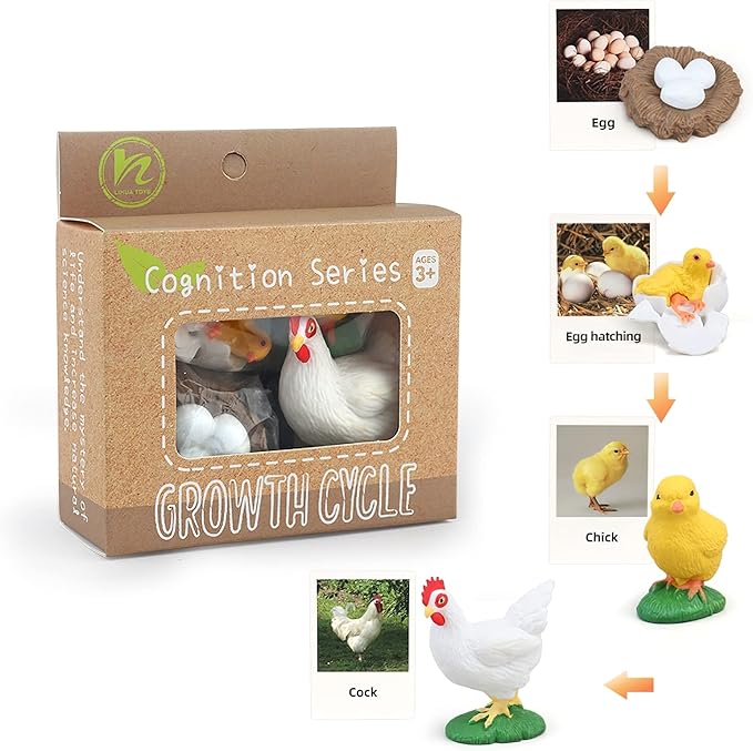 Montessori Chicken Life Cycle with Flash Cards, Realistic Animal Figurines Toy, Animal Educational Matching Game for 3+ Year Old Toddlers Kids (Cock)