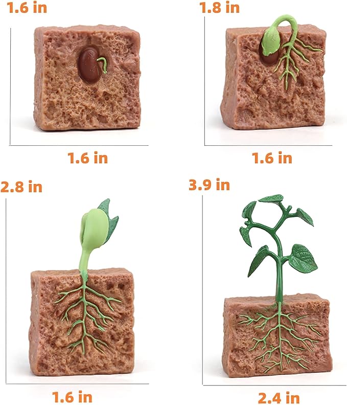 Montessori Life Cycle Animal Figures with Flash Cards, Realistic Animal Figurines Toy, Animal Educational Matching Game for 3+ year old Toddlers Kids (Plant)