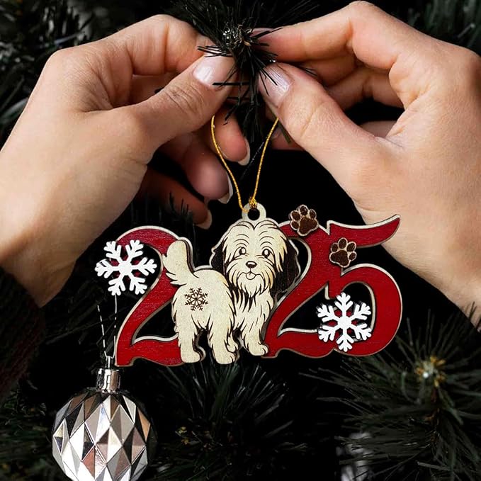 2025 Havanese Christmas Ornament – Wooden Dog Ornament for Tree, Cute Puppy Holiday Decoration, Personalized Pet Keepsake Gift for Women, Men, Kids, Dog Mom & Dad