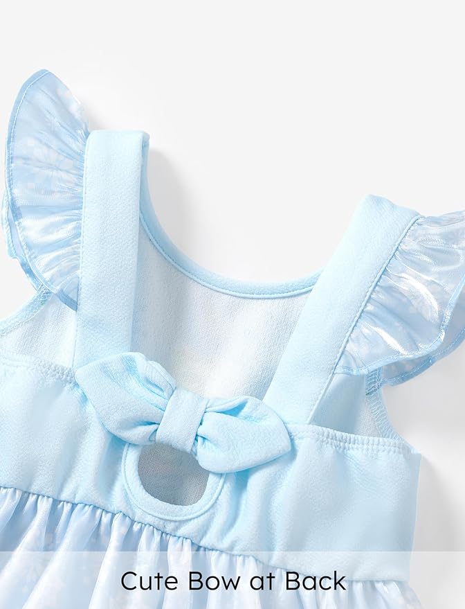 Disney Frozen Elsa Princess Cinderella Ariel Jasmine Rapunzel Baby/Toddler Dress, Ruffle Long-Sleeve Mesh Overlay Tulle Dress