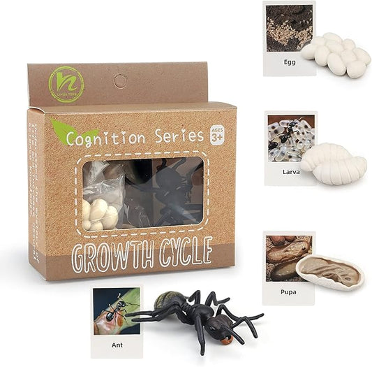 Montessori Life Cycle Animal Figures with Flash Cards, Realistic Animal Figurines Toy, Animal Educational Matching Game for 3+ Year Old Toddlers Kids (Ant)