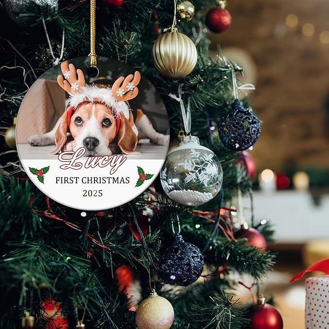 Personalized Pet Dog First, Customized 2025 Pet Ornaments for Christmas Tree, Puppy 1st Annual Xmas Holiday Keepsake Gift, Dog Lovers Gifts for Christmas Tree Decoration