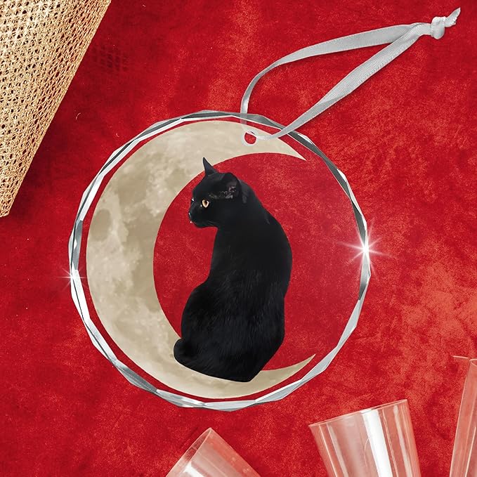 OASSIE Christmas Black Cat Gifts for Women Men - Glass Christmas Ornaments 2025 for Tree Decorations - Funny Cat Lover Gifts for Women Animal Lovers, Funny Ornaments for Xmas Decorations