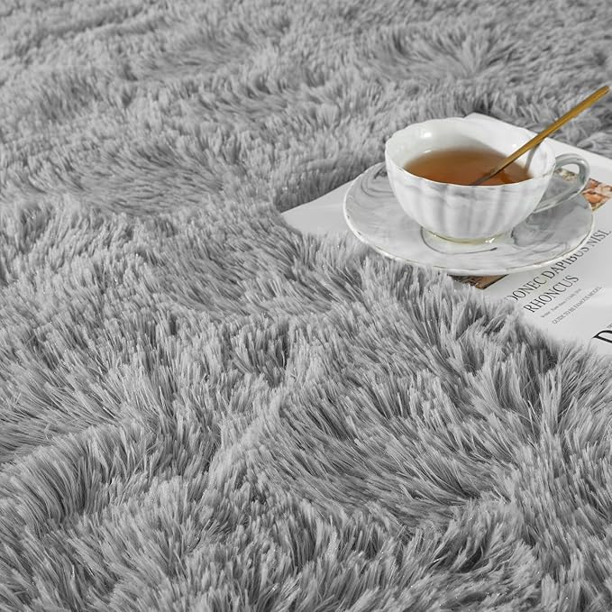 Ompaa Fluffy Rug, Super Soft Fuzzy Area Rugs for Bedroom Living Room - 6' x 9' Large Plush Furry Shag Rug - Kids Playroom Nursery Classroom Dining Room Decor Floor Carpet, Grey