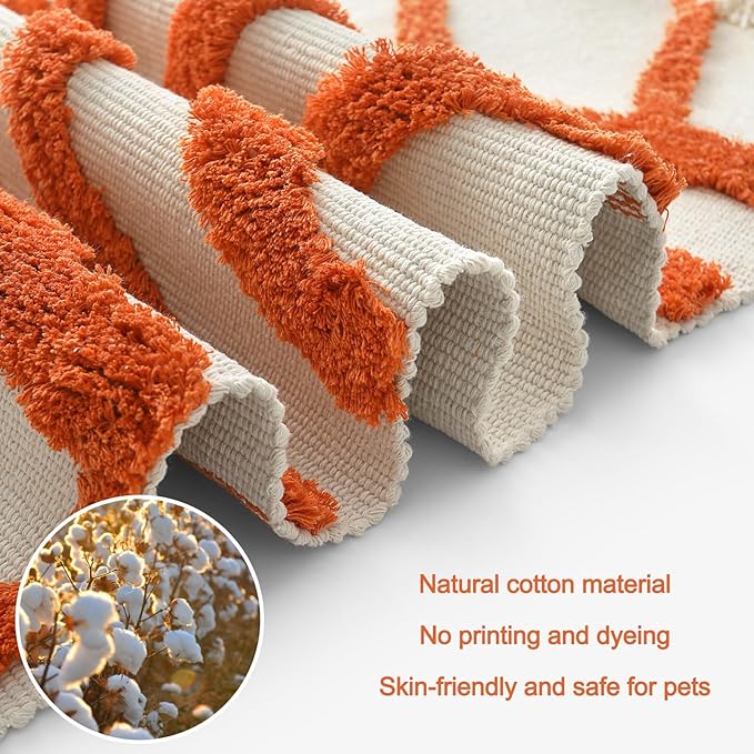 OJIA Boho Washable Rugs 5x8 Rug for Living Room Kids Room,Orange Sun Bedroom Carpet Soft Tufted Modern Farmhouse Cute Bedside Carpet for Dorm/Playroom/Nursery Room
