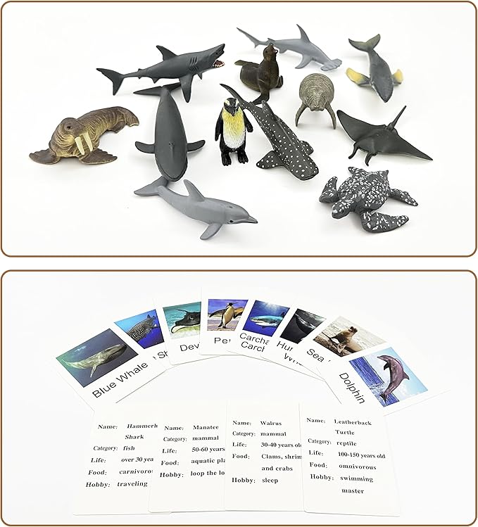 Mbrain 24 Pcs Plastic Realistic Small Safari & Ocean Animal Figures with Flash Cards, Learning & Montessori Toys for 3-5 Year Olds