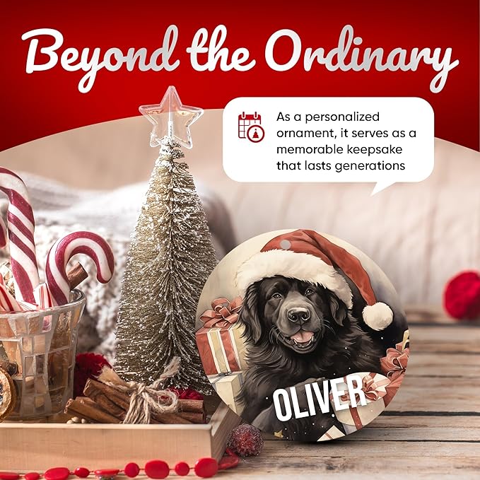 Newfoundland Personalized Dog Ornament - Pet Ornament for Christmas Tree - 3" Round Ceramic - Printed in USA - Choose from 200 Breeds - Dog Mom - Dog Dad - Xmas Decoration DOG0148