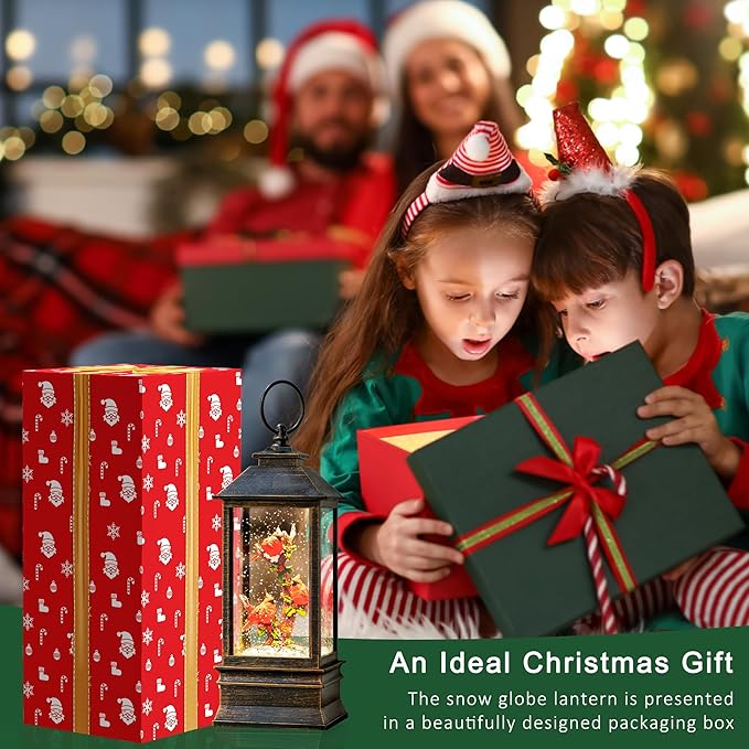 10" Snow Globe Lights, Shimmering Music Box, USB and Battery Powered Christmas Decorations Gift (Three Cardinals)