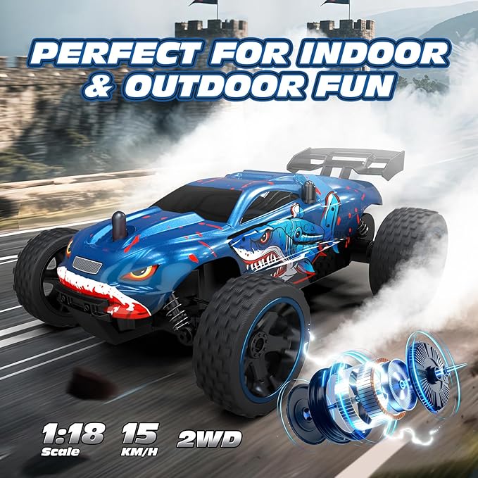 Tecnock RC Cars for Kids, 1:18 Scale 2WD RC Car with USB-C Easy Charging, 2.4GHz Remote Control Car with LED Lights & 50 Mins Playtime, Toys Gifts for Boys & Girls Ages 8-12