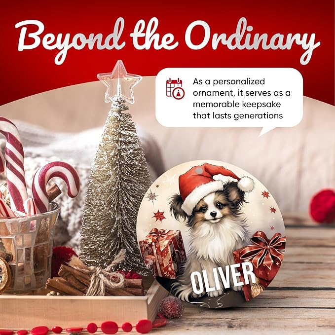 Papillon Personalized Dog Ornament - Pet Ornament for Christmas Tree - 3" Round Ceramic - Printed in USA - Choose from 200 Breeds - Dog Mom - Dog Dad - Xmas Decoration DOG0153