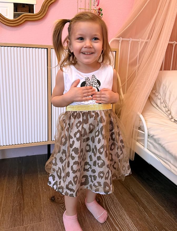 Disney Frozen Elsa Princess Cinderella Ariel Jasmine Rapunzel Baby/Toddler Dress, Ruffle Long-Sleeve Mesh Overlay Tulle Dress