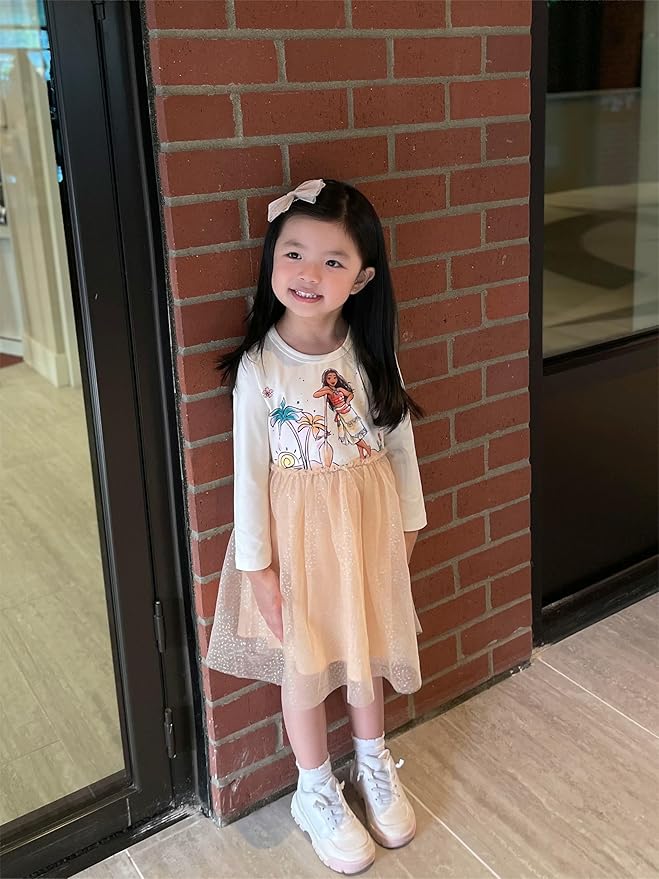 Disney Frozen Elsa Princess Cinderella Ariel Jasmine Rapunzel Baby/Toddler Dress, Ruffle Long-Sleeve Mesh Overlay Tulle Dress