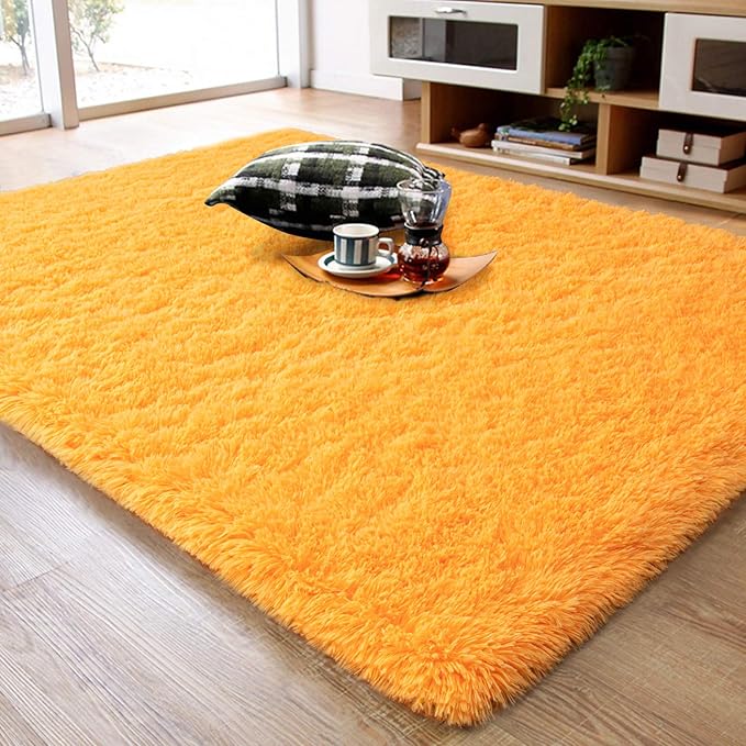 Ompaa Fluffy Area Rugs, Super Soft Shaggy Rug Fuzzy Long Fur Carpets for Bedroom Living Room Decor, 4 x 6 Feet Orange