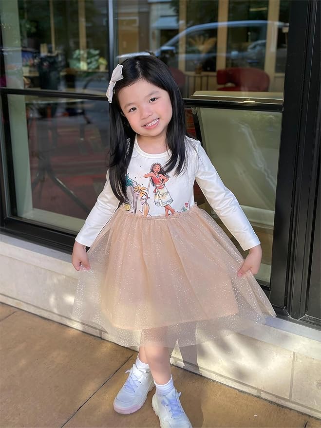 Disney Frozen Elsa Princess Cinderella Ariel Jasmine Rapunzel Baby/Toddler Dress, Ruffle Long-Sleeve Mesh Overlay Tulle Dress