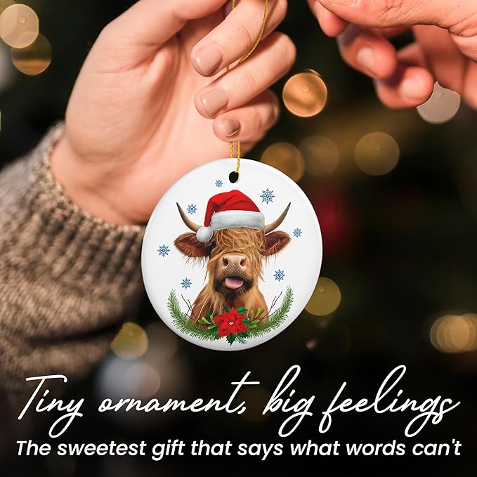 OASSIE Highland Cow Christmas Ornaments Gifts for Women Men - Ceramic Ornaments 2025 for Tree Decorations - Cow Ornament for Farmhouse Decorations, Hanging Ornament for Rustic Tree, Farm Animal Gifts