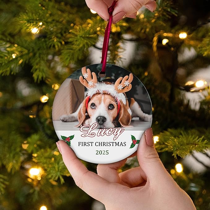 Personalized Pet Dog First, Customized 2025 Pet Ornaments for Christmas Tree, Puppy 1st Annual Xmas Holiday Keepsake Gift, Dog Lovers Gifts for Christmas Tree Decoration