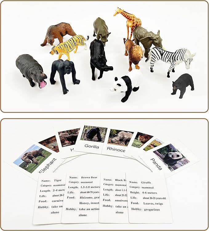 Mbrain 24 Pcs Plastic Realistic Small Safari & Ocean Animal Figures with Flash Cards, Learning & Montessori Toys for 3-5 Year Olds