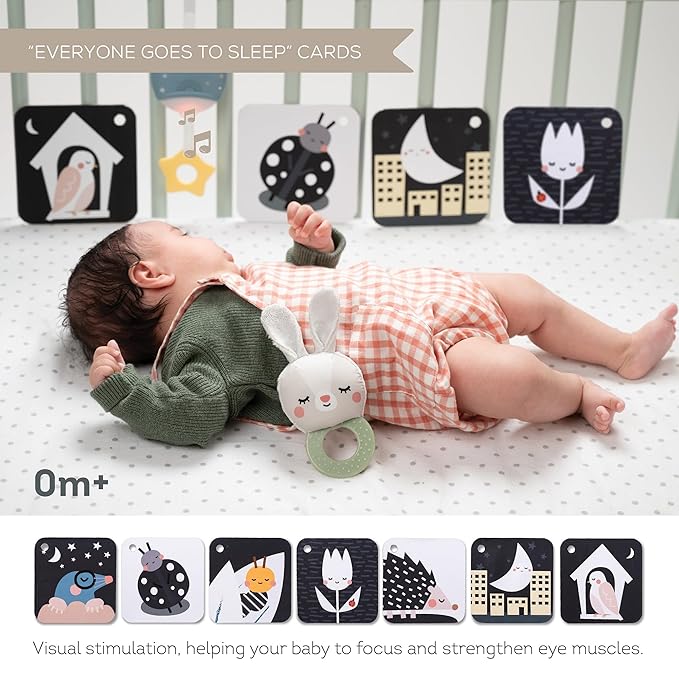 Taf Toys Newborn Bedtime Kit - Ultimate with 12 Activities for Smooth Bedtime Routine - Includes Music and Light Unit - Ideal for New Baby Boy or Girl