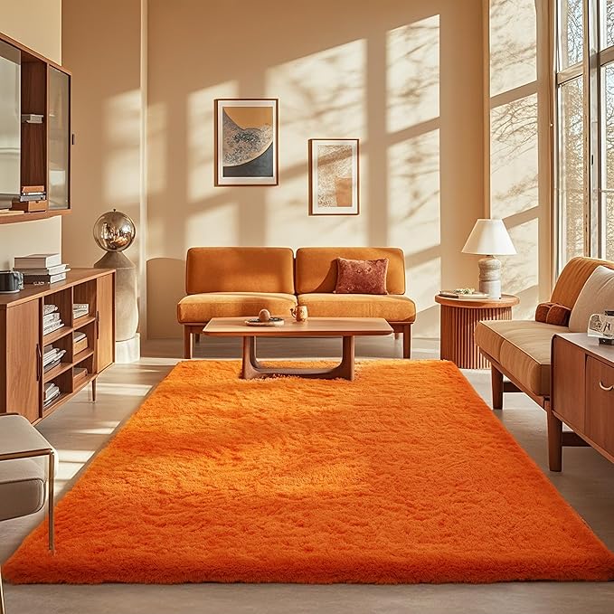 Ophanie Orange Rugs for Living Room Bedroom, 5x8 Fluffy Fuzzy Furry Carpet, Plush Soft Shaggy Bedside Indoor Floor Area Rug for Kids Girls Boys Baby Teen Dorm Nursery Home Decor Aesthetic