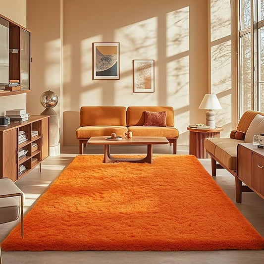 Ophanie Orange Rugs for Living Room Bedroom, 5x8 Fluffy Fuzzy Furry Carpet, Plush Soft Shaggy Bedside Indoor Floor Area Rug for Kids Girls Boys Baby Teen Dorm Nursery Home Decor Aesthetic