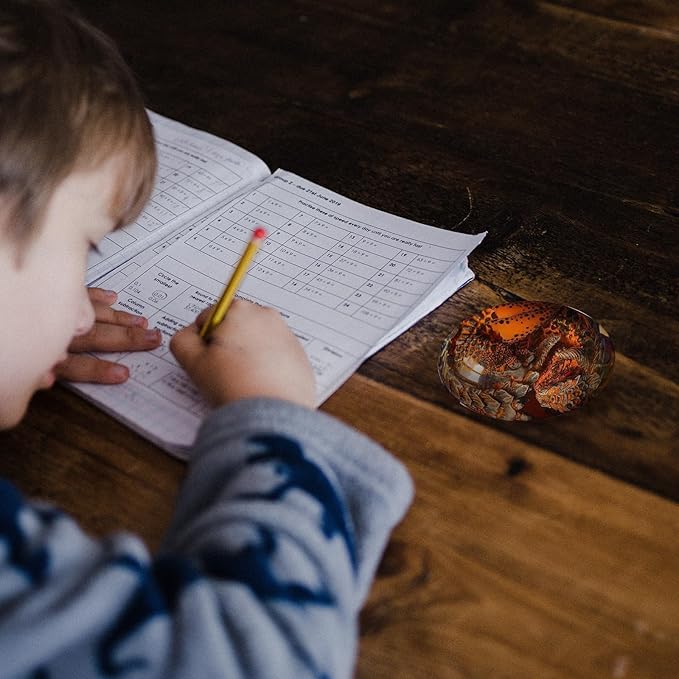 ACOCOFE Dragon Egg - Handmade Sculpture Resin Crystal Souvenir, Lava Ornaments Gift for Christmas, Birthdays, Graduation (Red)