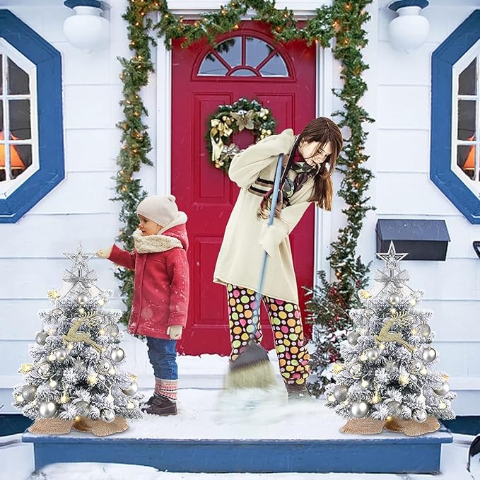 Mini Christmas Tree with Lights,24In/2ft Snow Flocked Pre-lit Tabletop Christmas Tree with 19 Decorations,Artificial Small DIY Decor for Table Desk Home