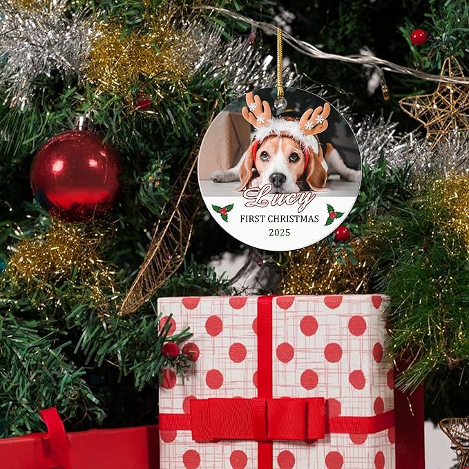 Personalized Pet Dog First, Customized 2025 Pet Ornaments for Christmas Tree, Puppy 1st Annual Xmas Holiday Keepsake Gift, Dog Lovers Gifts for Christmas Tree Decoration
