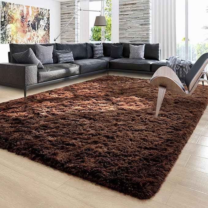 Ompaa Fluffy Rug, Super Soft Fuzzy Area Rugs for Bedroom Living Room - 6' x 9' Large Plush Furry Shag Rug - Kids Playroom Nursery Classroom Dining Room Decor Floor Carpet, Brown