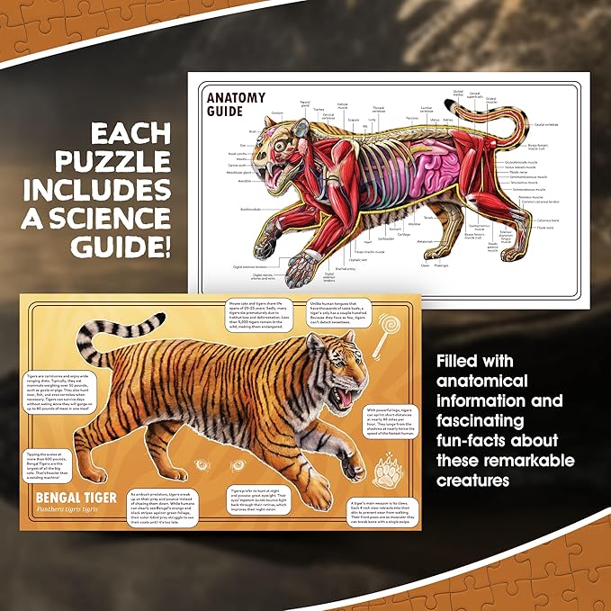Tiger Animal Anatomy Floor Puzzle | 100-Piece Double Sided Jigsaw Puzzle | Large-Sized, Over 3 Feet Scientifically Accurate Illustration - Fun and Educational Toy for Kids, Toddlers and Families