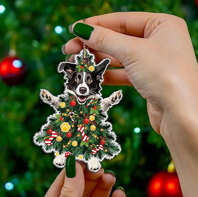 2025 Border Collie Christmas Tree Ornament - Festive Holiday Acrylic Hanging Decoration with Adorable Border Collie Dog - Border Collie Christmas Tree Topper Ornament