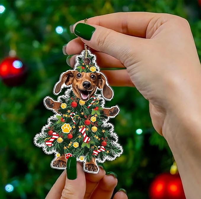 2025 Dachshund Christmas Tree Ornament - Festive Holiday Acrylic Hanging Decoration with Adorable Dachshund Dog - Wiener Dog Xmas Ornament