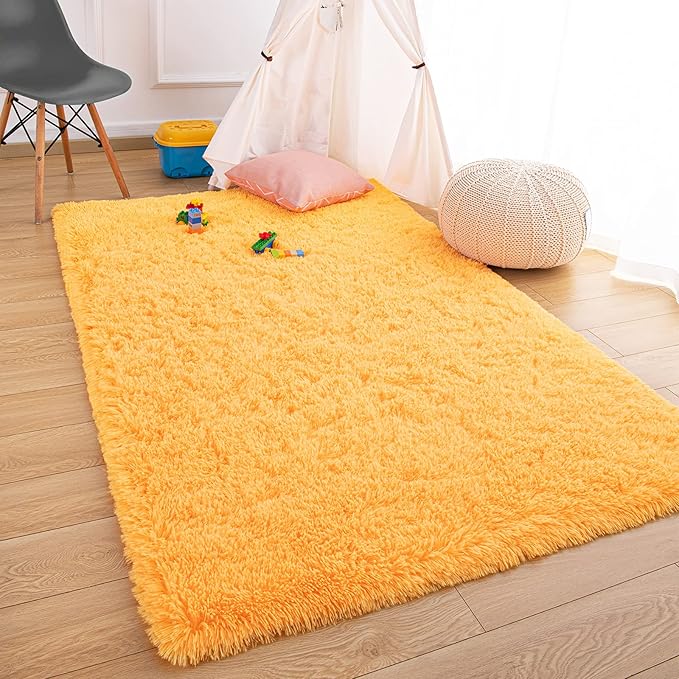 Ompaa Fluffy Area Rugs, Super Soft Shaggy Rug Fuzzy Long Fur Carpets for Bedroom Living Room Decor, 4 x 6 Feet Orange