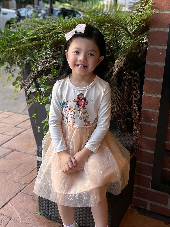 Disney Frozen Elsa Princess Cinderella Ariel Jasmine Rapunzel Baby/Toddler Dress, Ruffle Long-Sleeve Mesh Overlay Tulle Dress