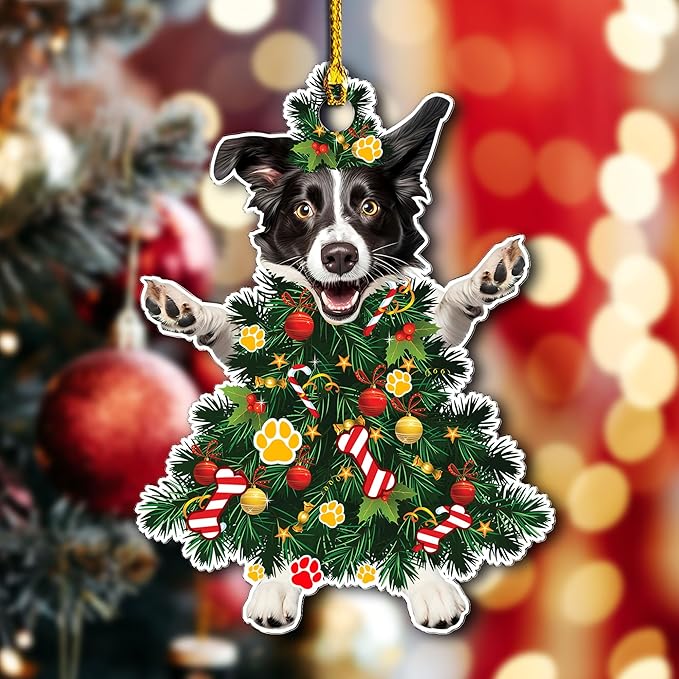 2025 Border Collie Christmas Tree Ornament - Festive Holiday Acrylic Hanging Decoration with Adorable Border Collie Dog - Border Collie Christmas Tree Topper Ornament