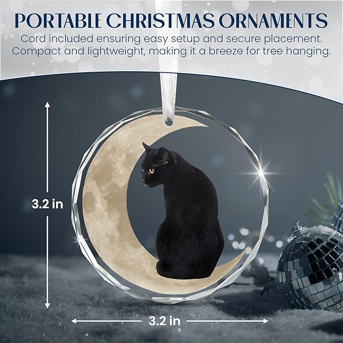 OASSIE Christmas Black Cat Gifts for Women Men - Glass Christmas Ornaments 2025 for Tree Decorations - Funny Cat Lover Gifts for Women Animal Lovers, Funny Ornaments for Xmas Decorations