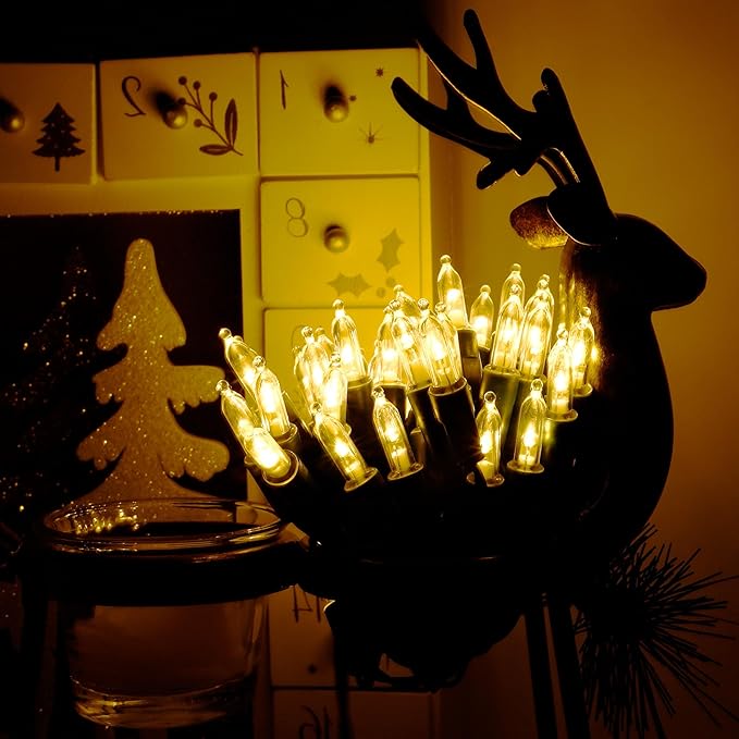 Joliyoou 50 LED Warm White String Lights, 16 Ft Battery Operated Christmas Mini Lights with 8 Lighting Modes, Indoor Outdoor LED Christmas Fairy String Lights with Timer