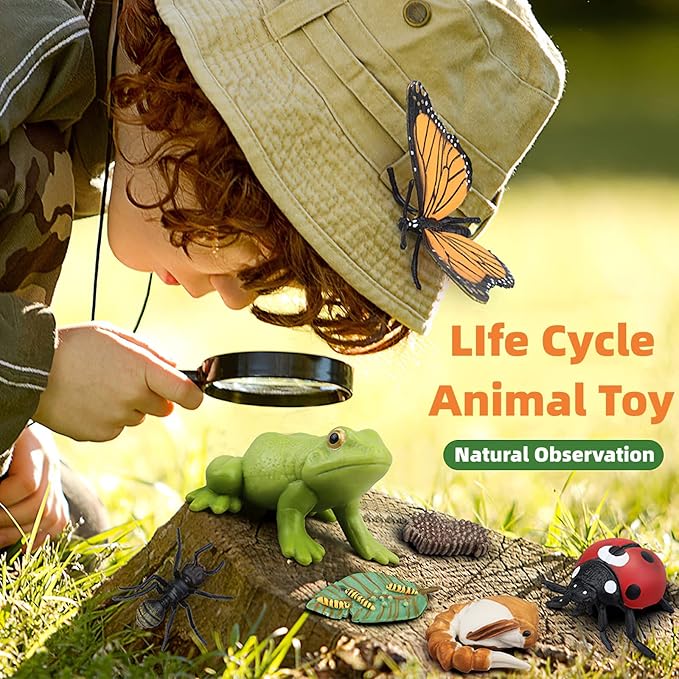 Montessori Frog Life Cycle with Flash Cards, Plastic Insects Tadpole to Frog Kit Toy, Realistic Animal Figurines (Frog)
